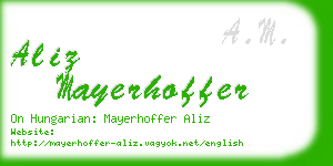 aliz mayerhoffer business card
